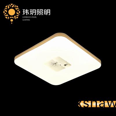 藝術(shu)現代(dai)吸(xi)頂燈(deng)